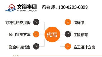 石阡仔細(xì)寫項(xiàng)目計劃書本地公司
