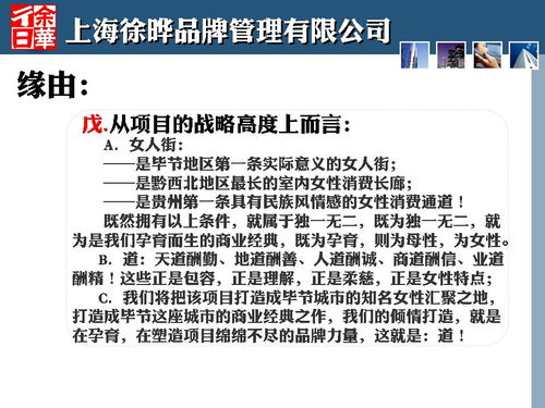 商業(yè)策劃人刀鋒與2013年畢節(jié)金街口項目 一次定位策劃的深度實踐與公關(guān)服務(wù)啟示